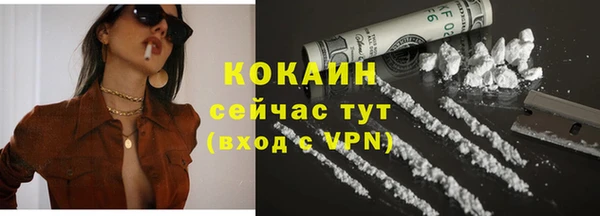шишки Липки