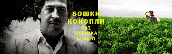 шишки Липки