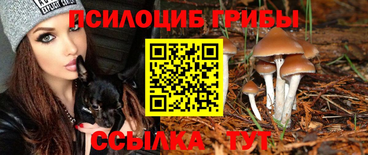 Галлюциногенные грибы MAGIC MUSHROOMS  закладки  Галлюциногенные грибы ЛСД  Абакан 