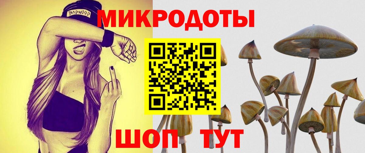 Псилоцибиновые грибы MAGIC MUSHROOMS  Вход с VPN  цены наркотик  Галлюциногенные грибы GOLDEN TEACHER  Абакан 