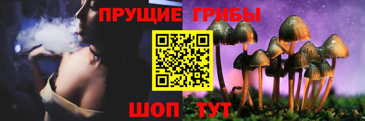 Галлюциногенные грибы Psilocybine cubensis Абакан